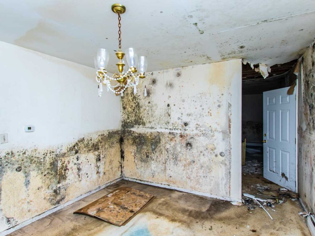 water damage service