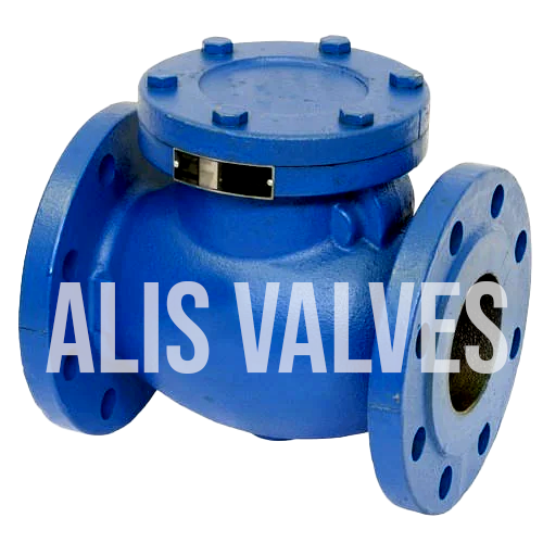 SWING CHECK VALVE