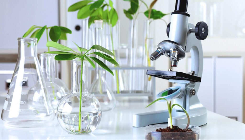 Embarking On A Journey Through The Marvels Of Biology