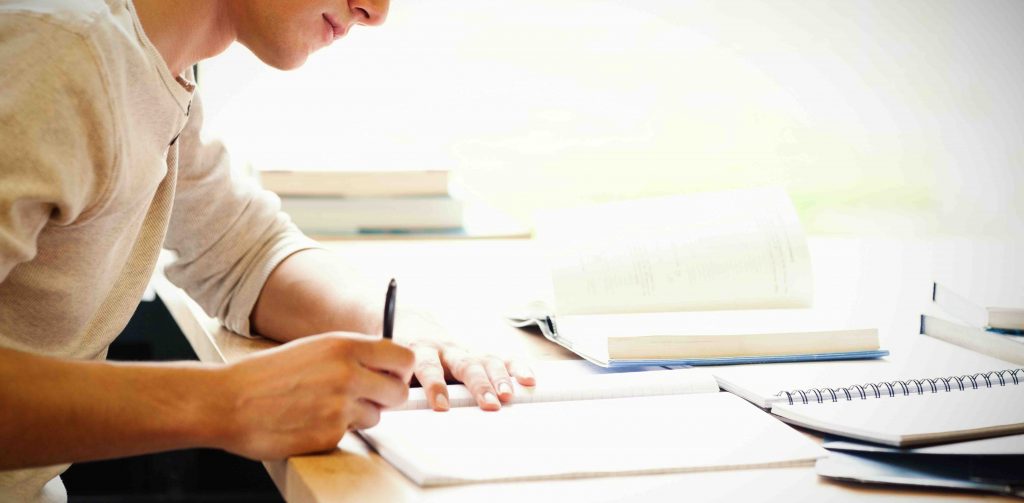 Essay Writing Services