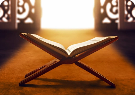 learn quran with tajweed