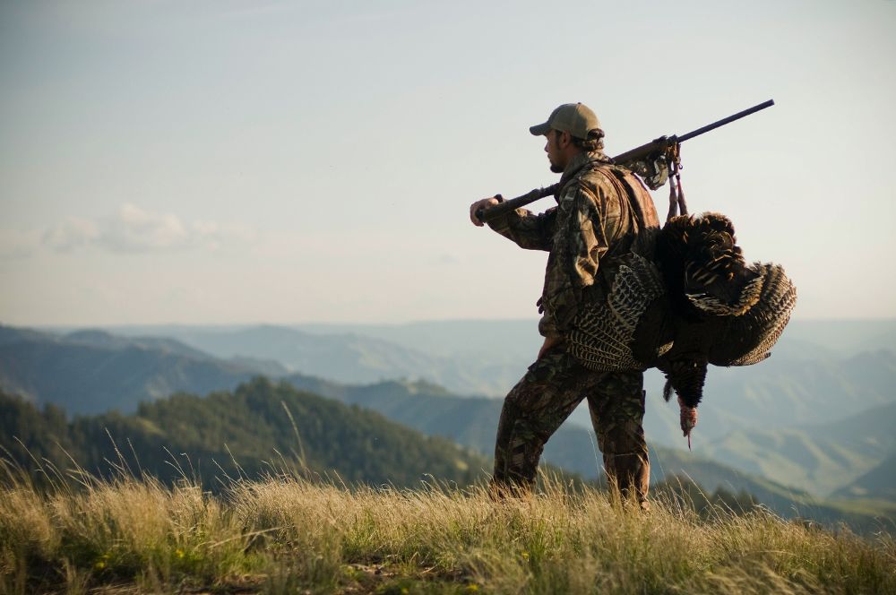How to choose the best ammunition for long-range dove shots