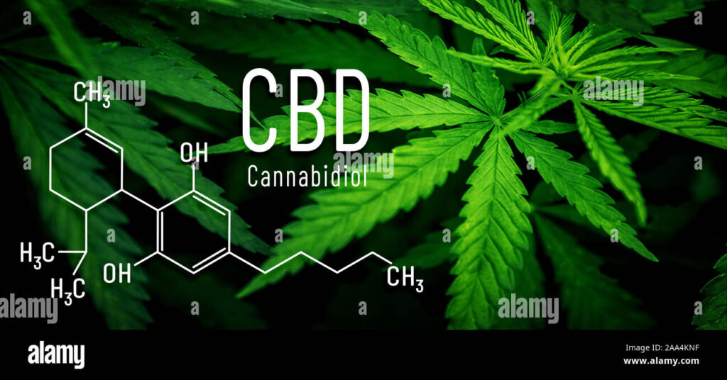 Delta 8 Carts and Drug Testing: What You Should Know