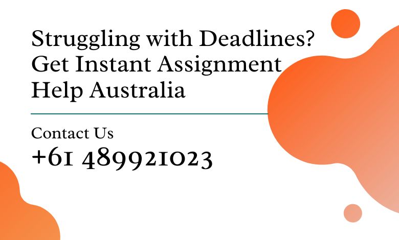 Assignment Help