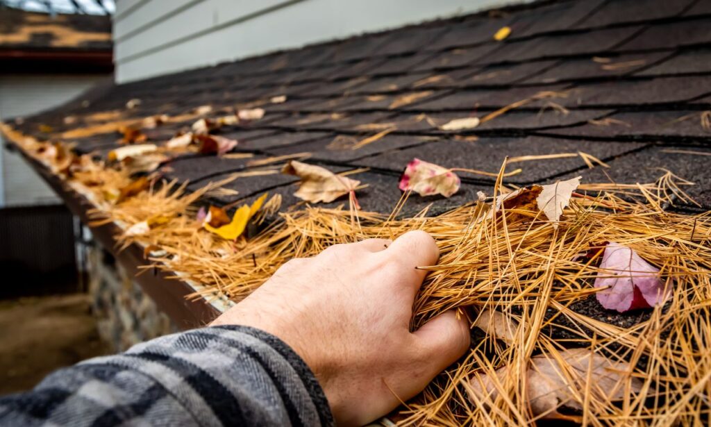 Gutter Cleaning Service in Brooklyn
