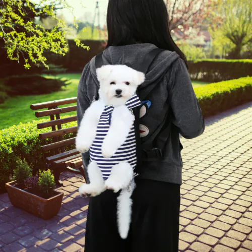 pet carrier bag