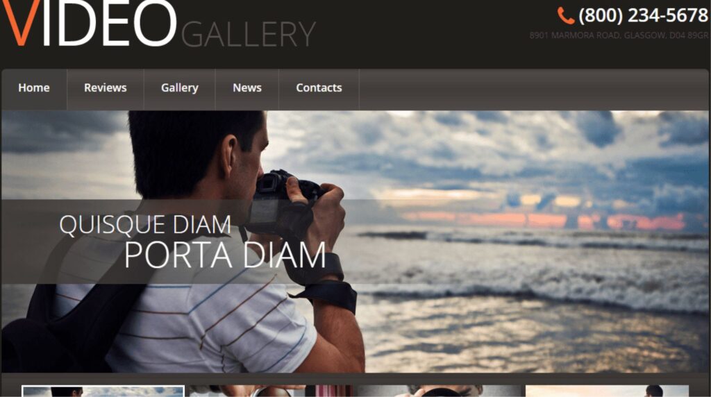 Can a Free Video WordPress Theme Power Your Website?