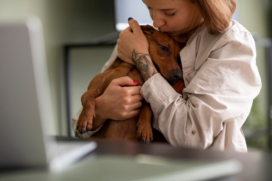 What Parasites Does Panacur Treat in Dogs