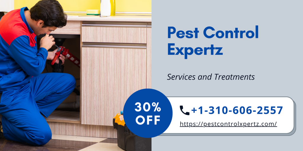 Centipedes Pest Control Expertz