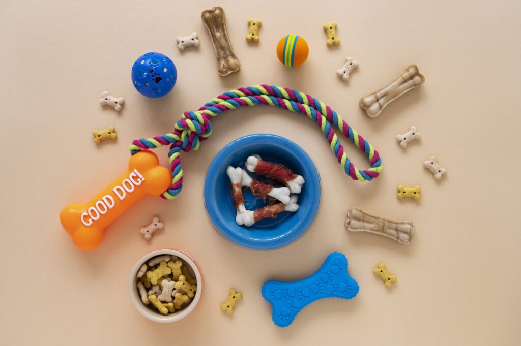 cat toys