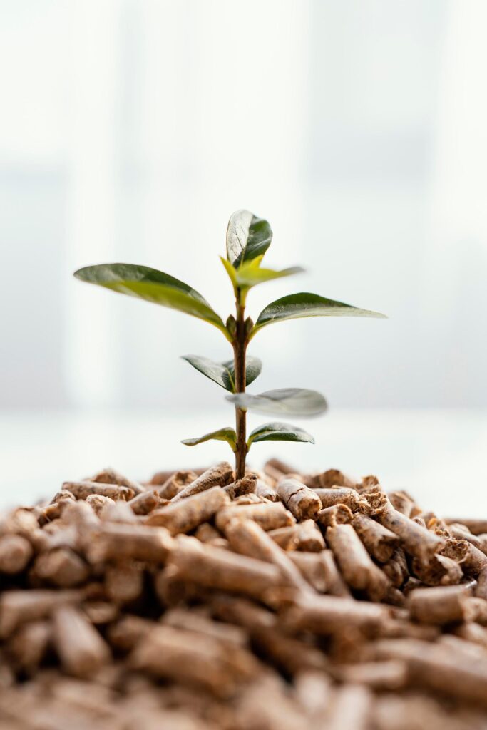 potting-soil