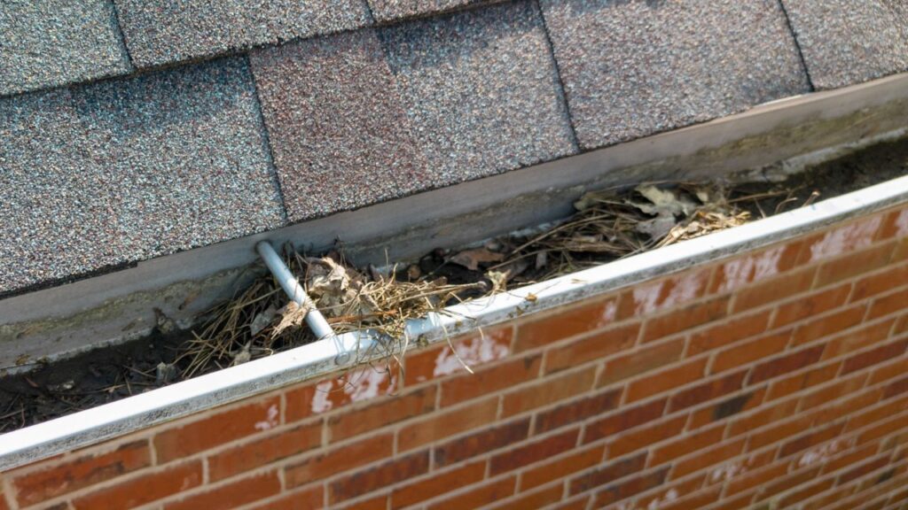 gutter cleaning service