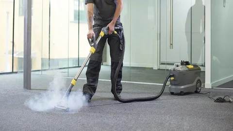 carpet cleaning services in Milpitas