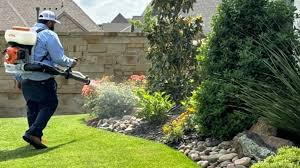 Pest Control Waco