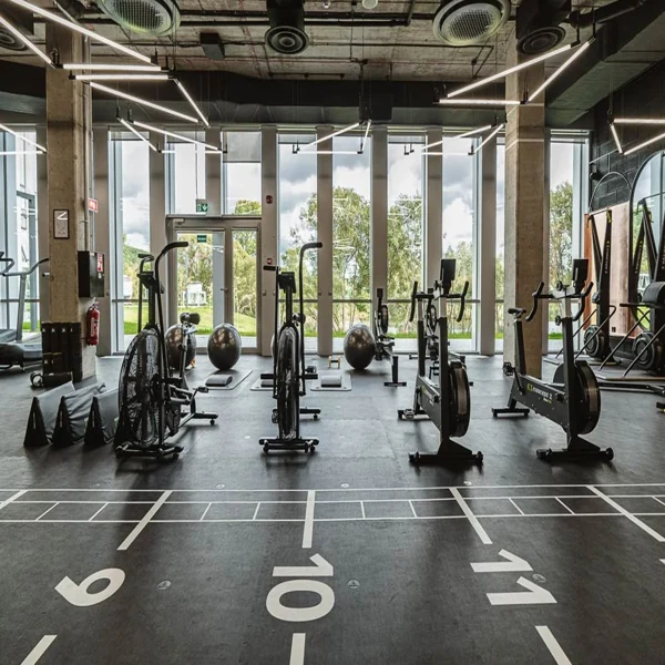 Commercial Gym Flooring Dubai
