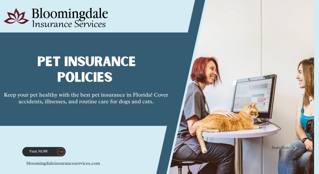 Pet Insurance Policies