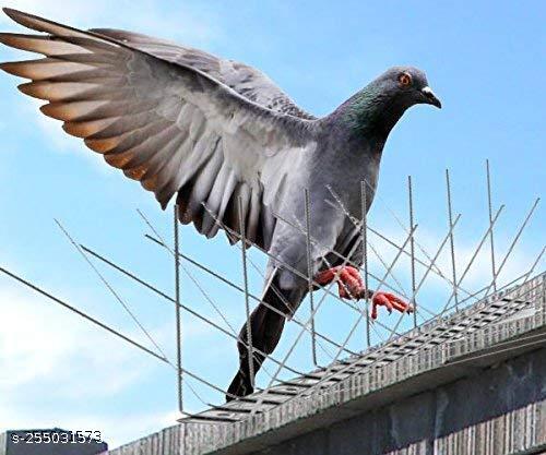 Professional bird control technician installing bird spikes on a building in Galloway