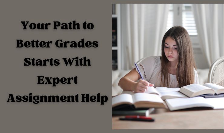 Assignment Help