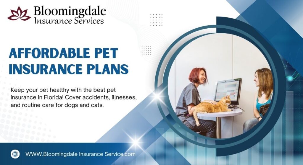 Affordable Pet Insurance Plans