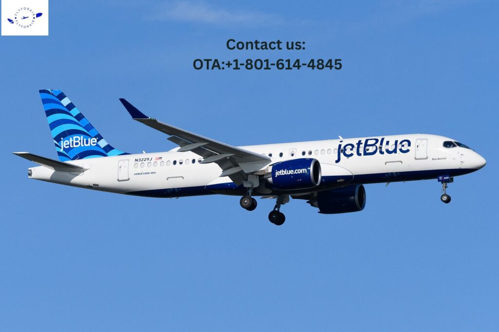 How Do I Talk to a Human at JetBlue?
