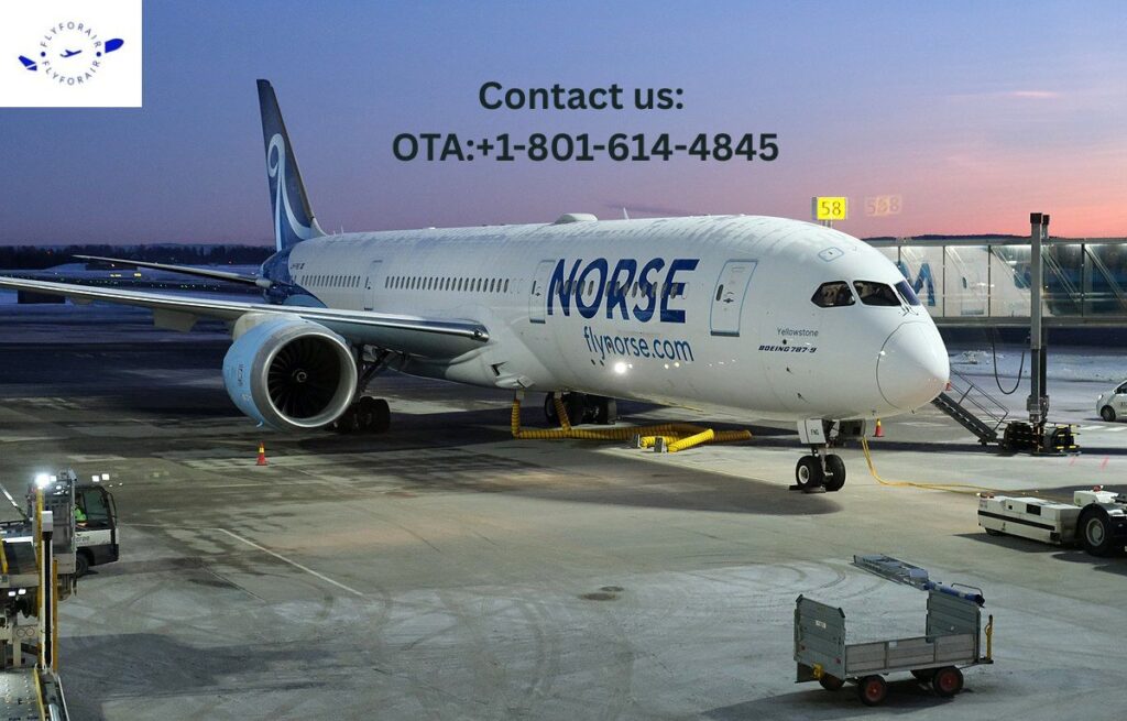 Norse Atlantic Airways Contact Number