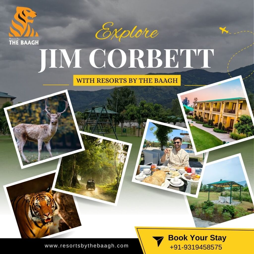 Resorts in jim corbett