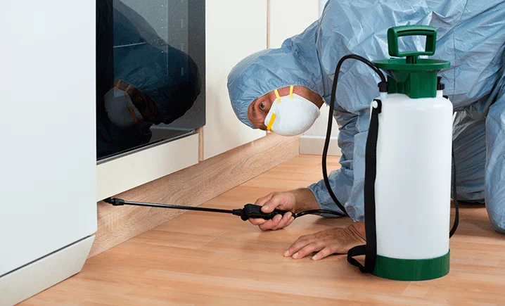 fumigation services