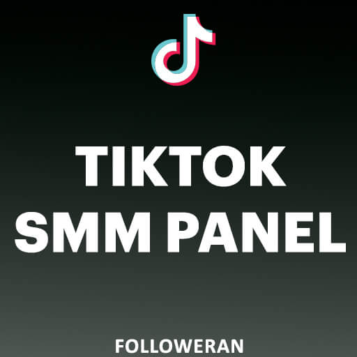 Tiktok Smm Panel