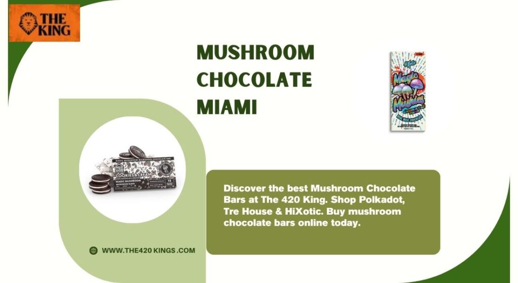 mushroom chocolate miami
