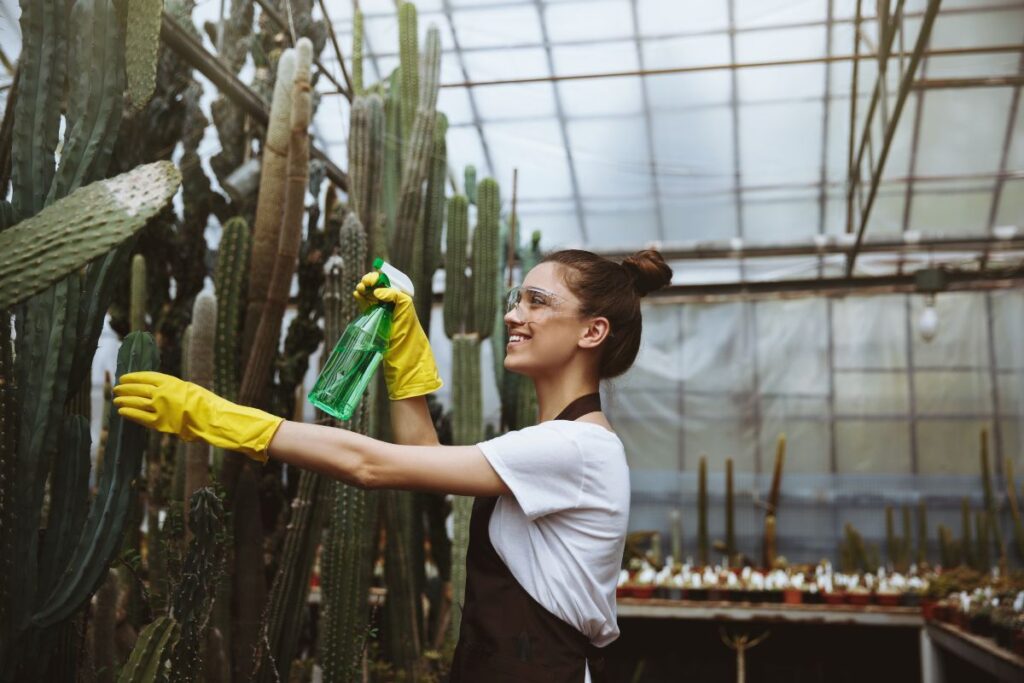 Green Cleaning Services (2)