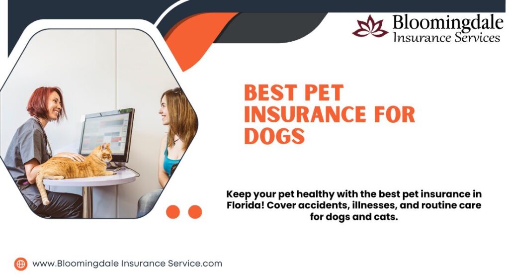 Best Pet Insurance for Dogs