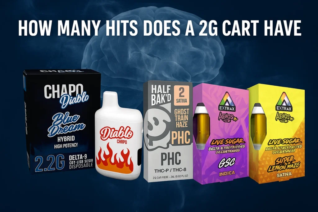 2G Disposable Vapes for Daily Use: Convenience Meets Value