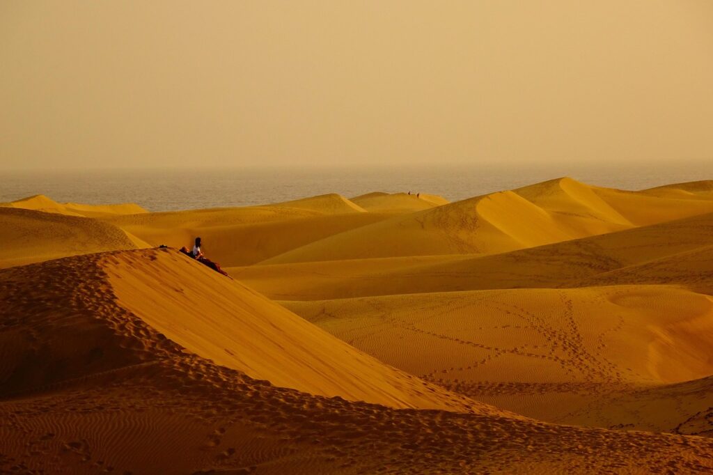 desert, sand dunes, sunset, landscape, nature, dusk-6755127.jpg
