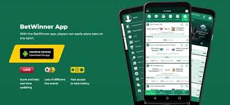 Discover the Excitement of BetWinner Betting Platform 2