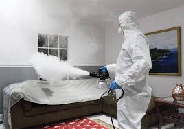 Odor Removal Services