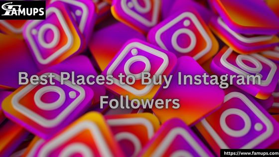 Best Places to Buy Instagram Followers