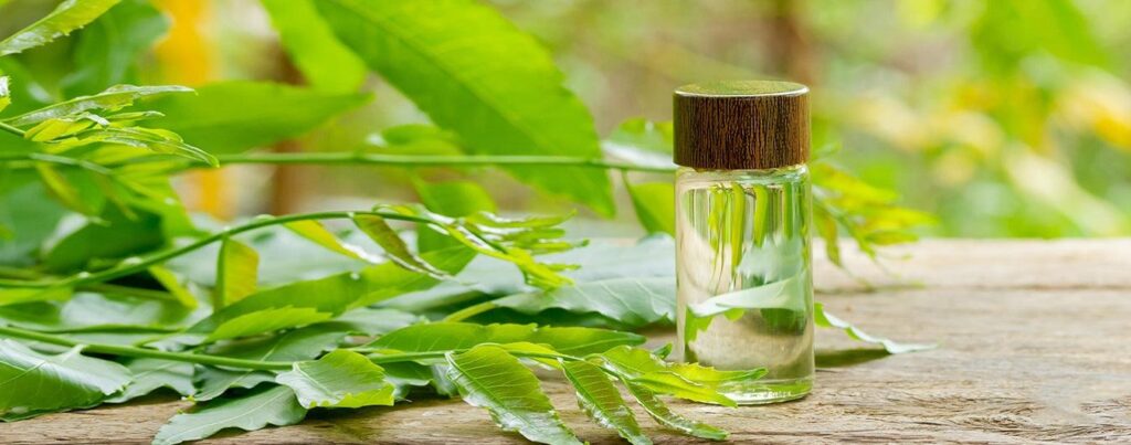 Neem Oil Processing Plant