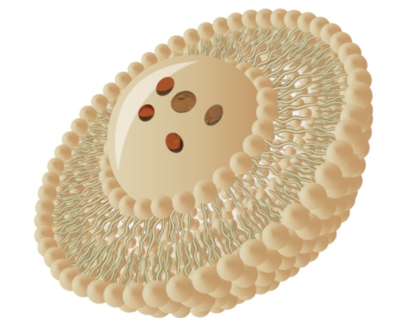 Liposomal Vitamins and Minerals