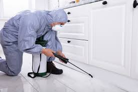 pest control Orangeville
