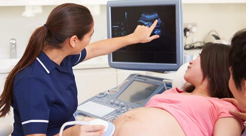 General Gynecology Fees for New Mothers
