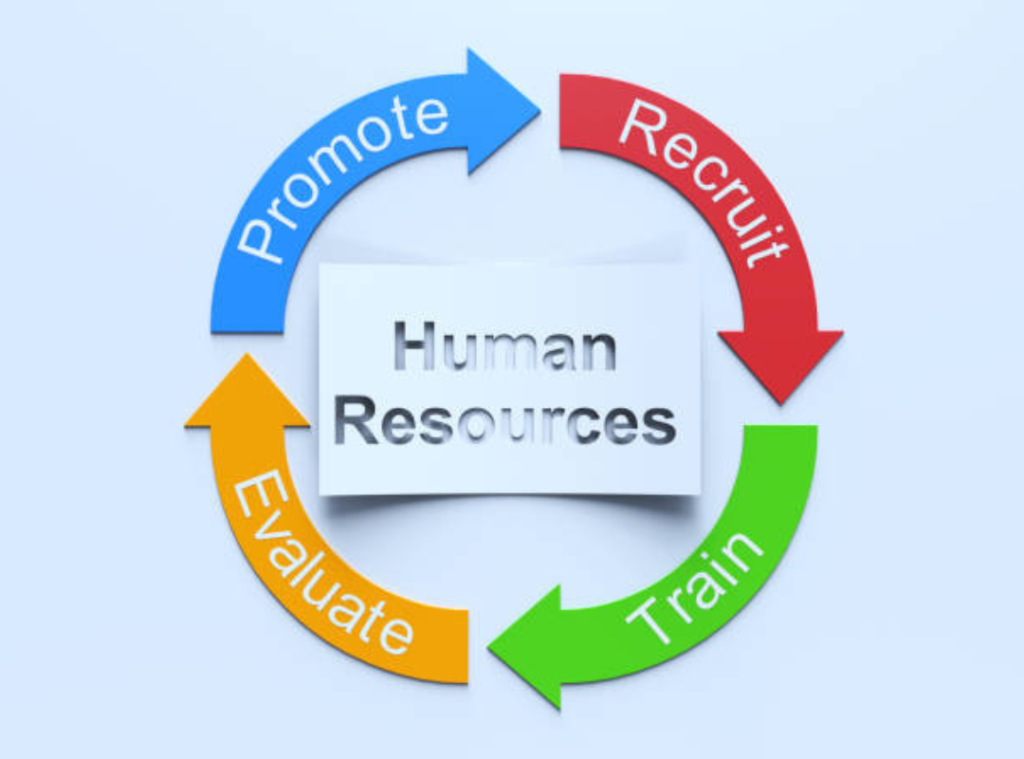 Why Companies Need Expert HR Advisory Services