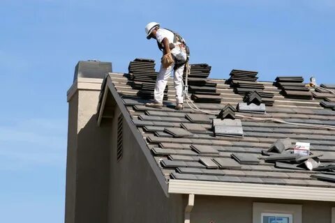 Expert Shingle Roof Repair Services in Dania Beach FL
