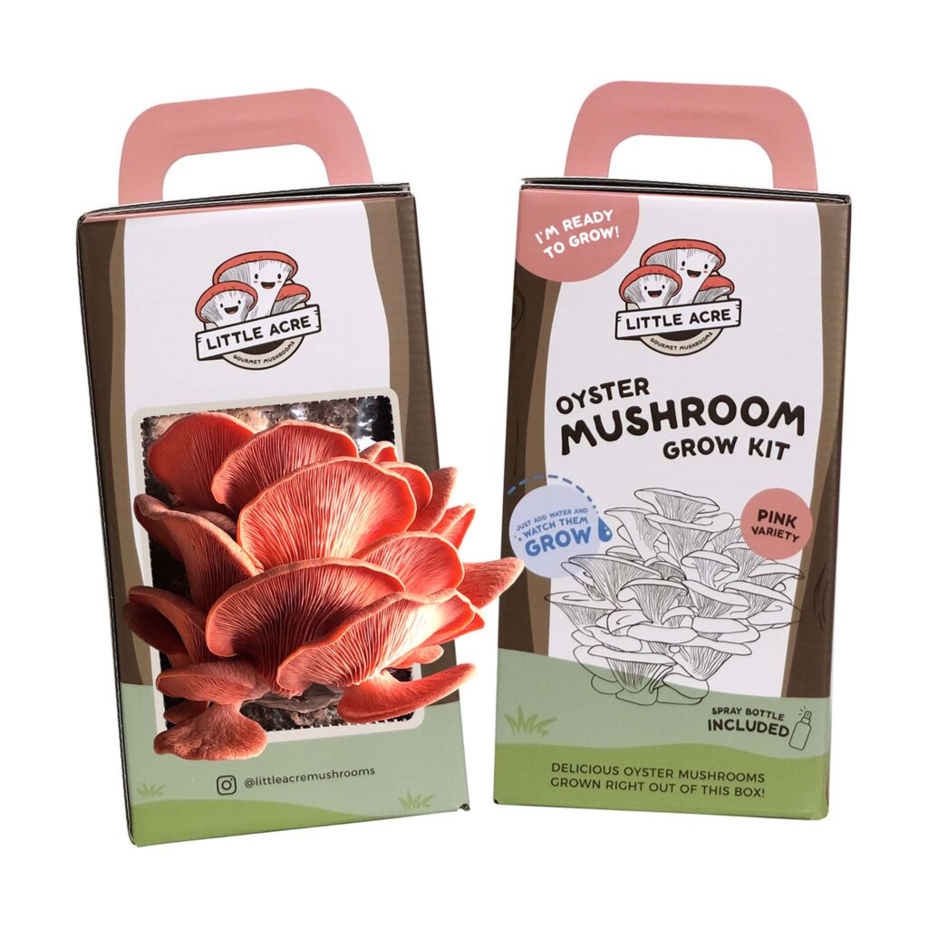 Mushroom Kit Packaging