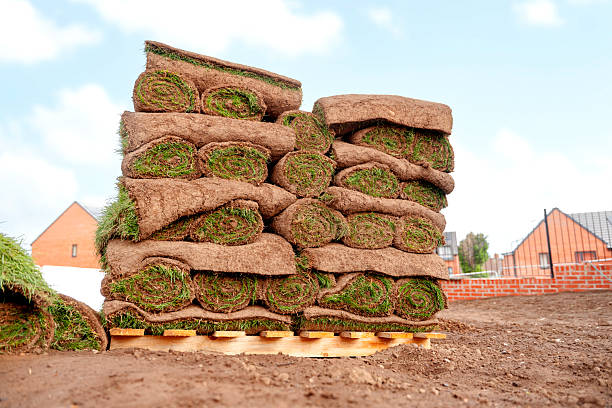 laying grass turf​