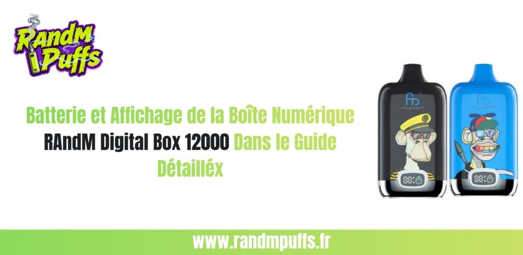 RAndM Digital Box 12000