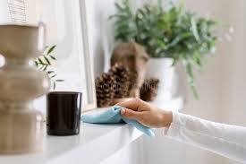 Remove Dust From Home
