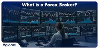 Panduan Lengkap untuk Dagangkan Forex Strategi dan Tips -597127888