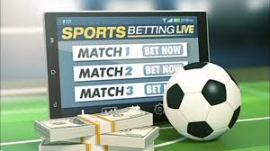 The Rise of Gambling Culture in South Korea Trends and Insights The Rise of Gambling Culture in South Korea Trends and Insights
