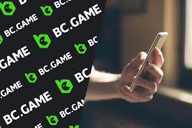 Unlocking the World of Online Gaming A Deep Dive into the BC.Game App