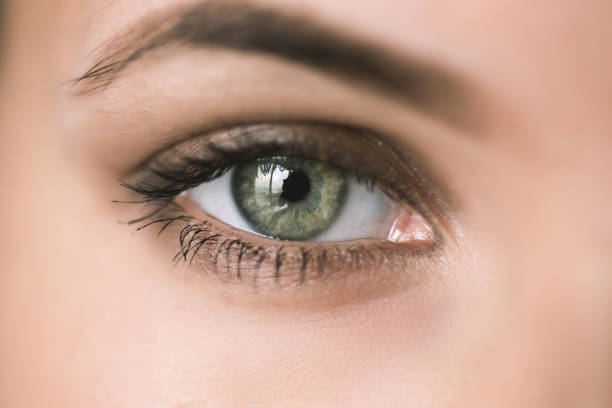 How Long Does Eyelid Surgery Recovery Usually Take